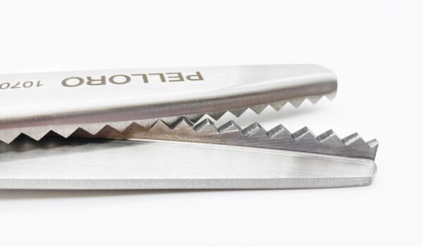 Pinking Shears stainless 1070/R/9"