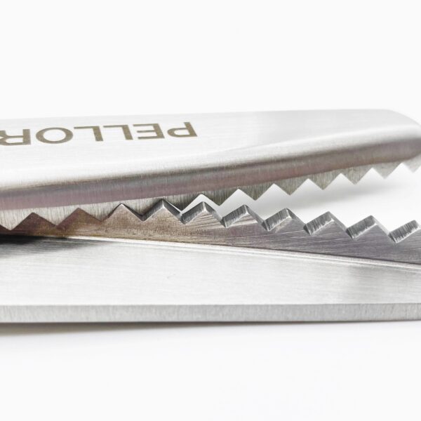 Pinking Shears stainless 1070/R/9"