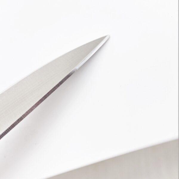 ROBUSO Maritime scissors, pointed 1024/C-MM/10"