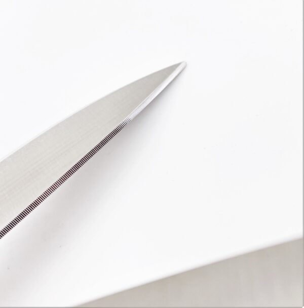 ROBUSO Maritime scissors, pointed 1024/C-MM/10"