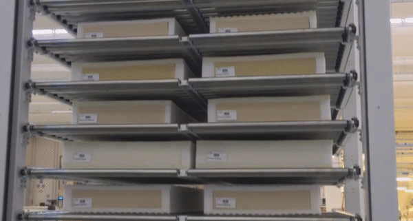 Teknomac TKD11 Mattress Gluing line