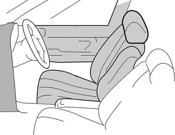 車内2 Pegasus Automobile & leather