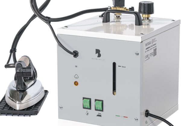 Steam generator with 4,5 L boiler and iron
