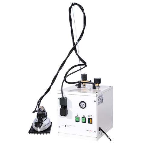 Steam generator with 5 L boiler and iron